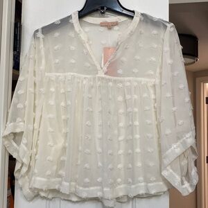 NWT Evolutionary Cream Blouse